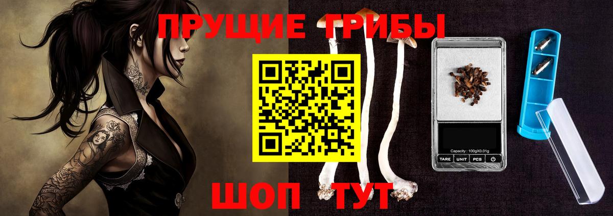 Галлюциногенные грибы Psilocybe  закладка  Борисоглебск  Вход с VPN 